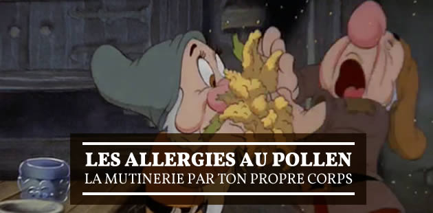 big-allergies-pollen-temoignage