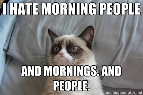 commandements-matin-grumpy-cat commandements-matin-grumpy-cat