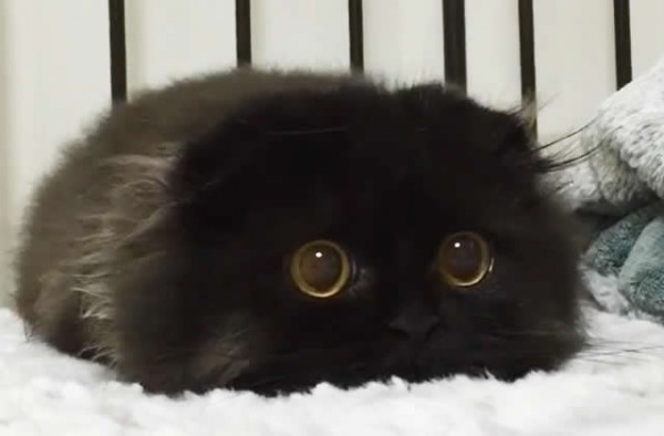fiche-paie-explications-yeux fiche-paie-explications-yeux
