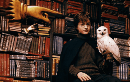 harry-potter-bibliotheque harry-potter-bibliotheque
