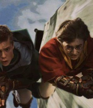 harry-potter-quidditch-set