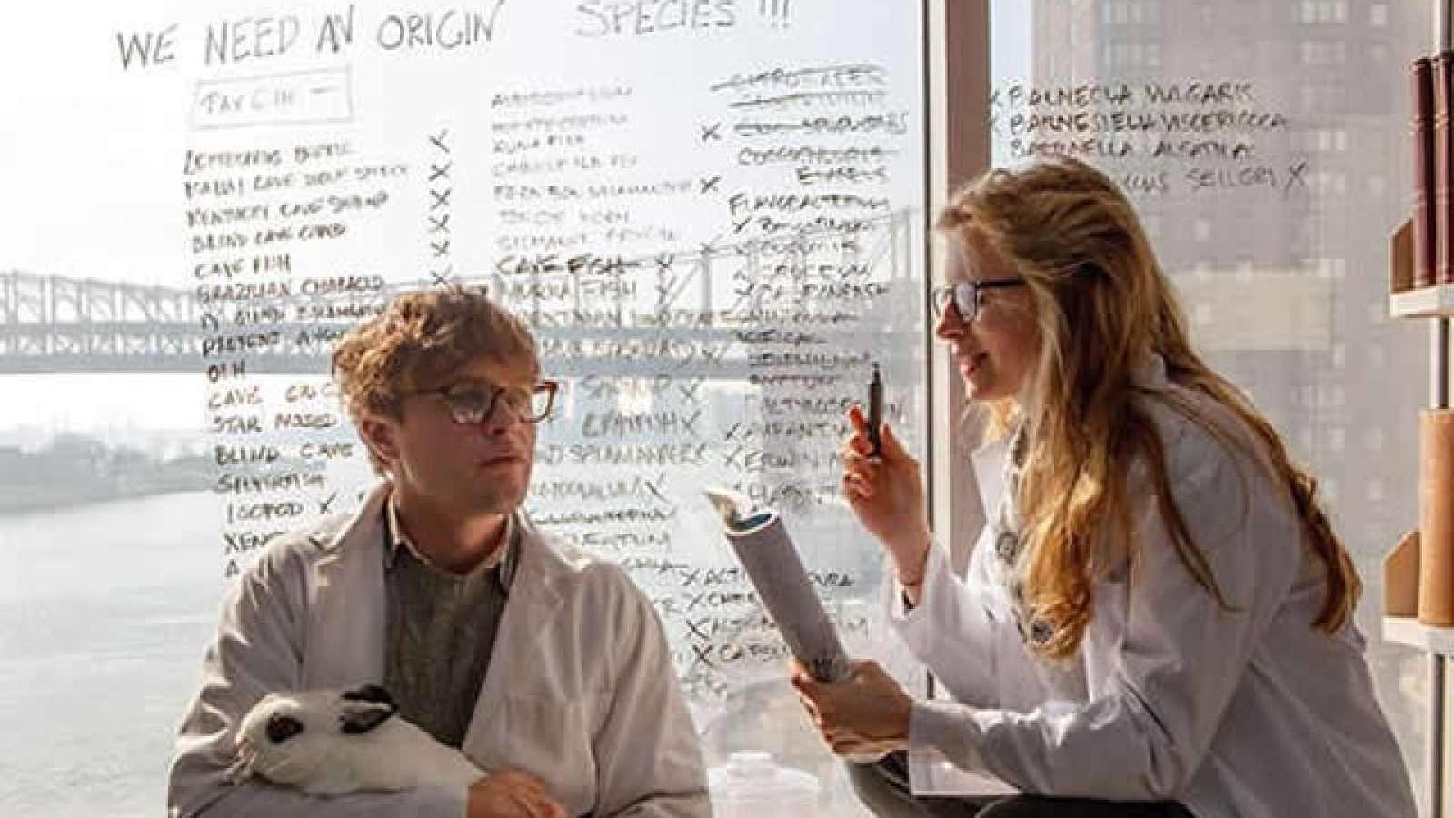Les filles seraient moins bonnes dans les études scientifiques... d