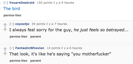 reddit14-bird reddit14-bird