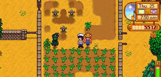 stardewvalley4