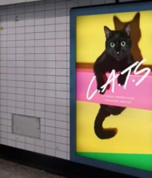 affiches-chat-metro-londres