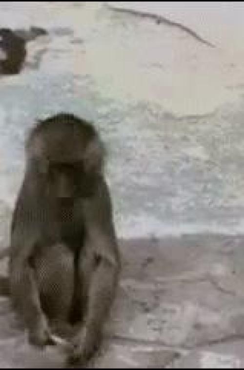 14 14