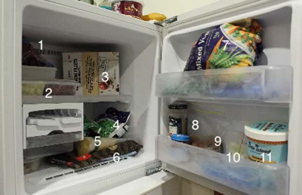 dans le frigo nouvelle zelande dans le frigo nouvelle zelande