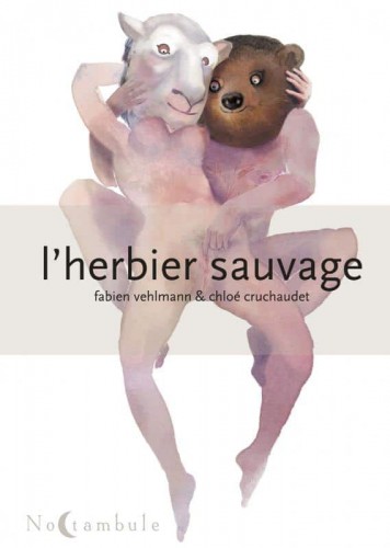 herbier-sauvage-vehlmann-cruchaudet