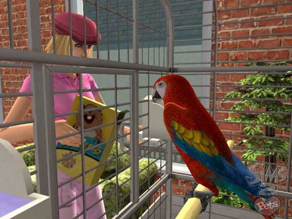 sims-animaux