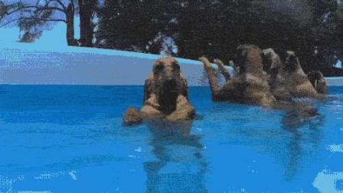 12 12