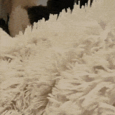 5 5
