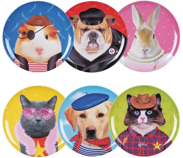 assiette-les-zamis-animaux-amazon