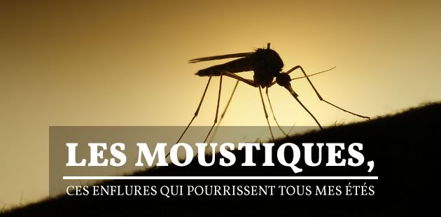 big-moustiques-ete