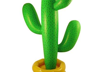 cactus-gonflable-amazon