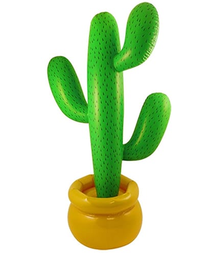 cactus-gonflable-amazon