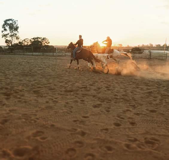 outback-australie-elevage-chevaux