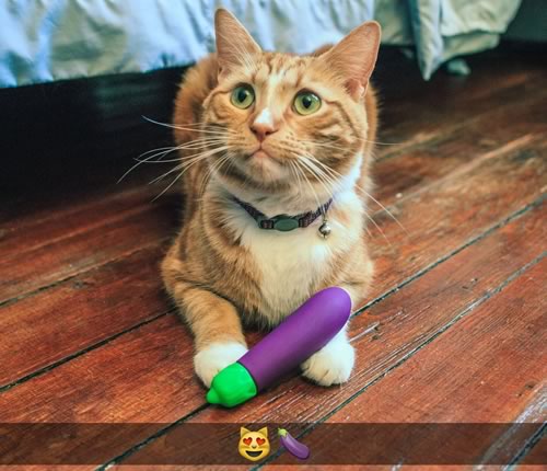 cat-emoji-vibrator