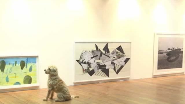 exposition-chiens-londres