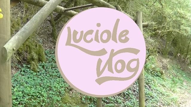 luciole-vlog-balade-foret