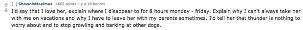 reddit-pet-disappear-work reddit-pet-disappear-work