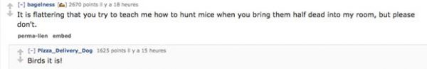 reddit-pet-mice reddit-pet-mice