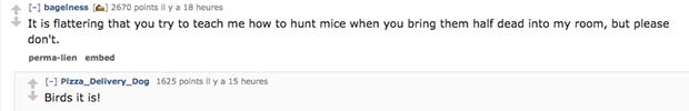 reddit-pet-mice reddit-pet-mice