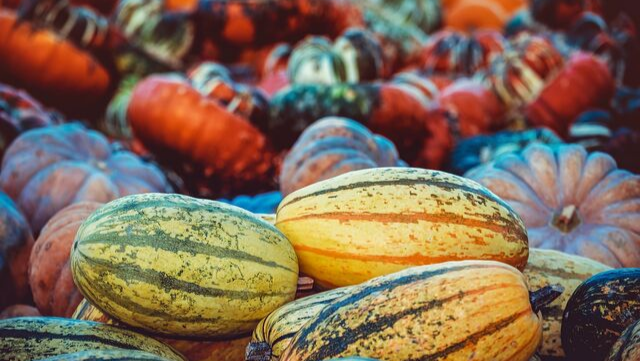fruits-legumes-automne-guide