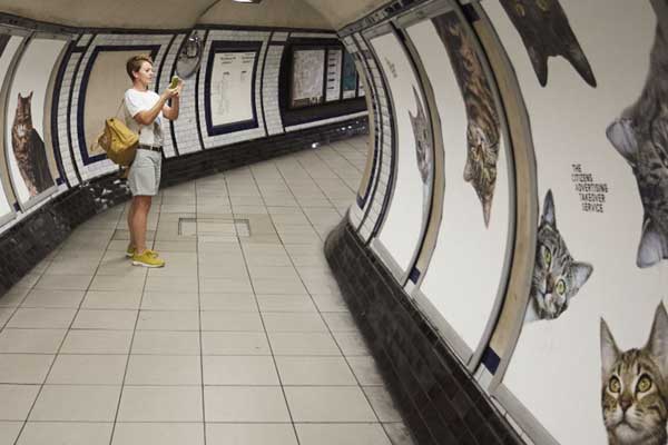 chats-pubs-metro-londonien3