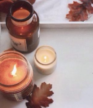 comptes-instagram-automne