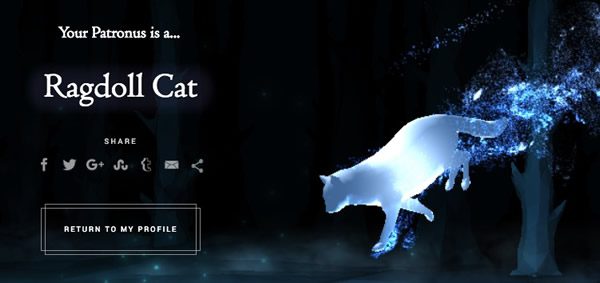 patronus-mymy