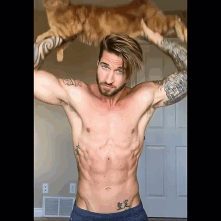 red-cat-abs
