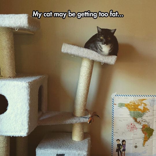 13 13