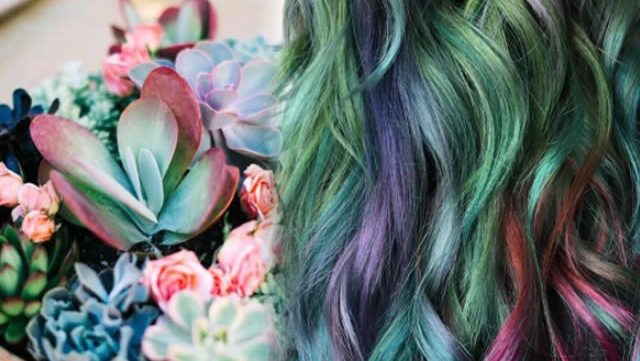 cheveux-colores-succulentes