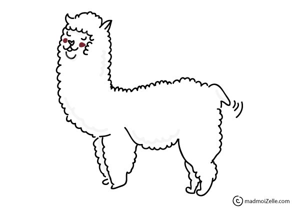 dessin-alpaga dessin-alpaga