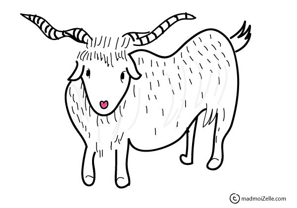 dessin-chevre-cachemire dessin-chevre-cachemire