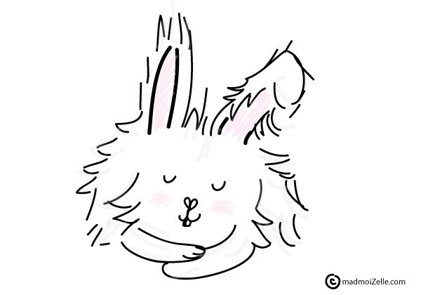 dessin-lapin-angora