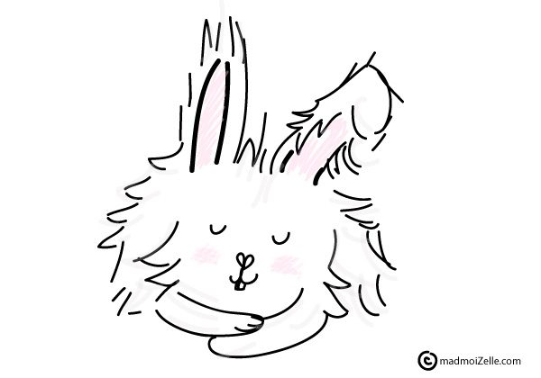 dessin-lapin-angora dessin-lapin-angora