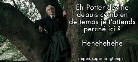draco-malfoy-spin-off draco-malfoy-spin-off