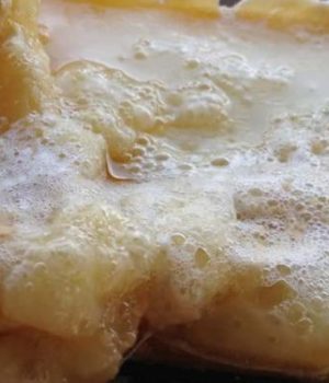 fromage-raclette-recettes