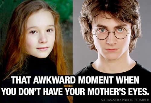 harry-potter-mothers-eyes