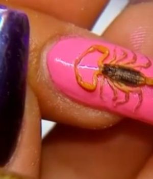 wtf-nail-art-scorpion