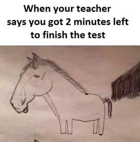 5 5