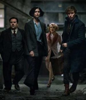 animaux-fantastiques-critique animaux-fantastiques-critique