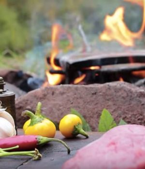 cooking-forest-youtube