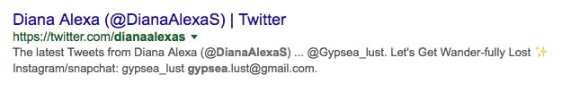 diana-alexa-screen-twitter