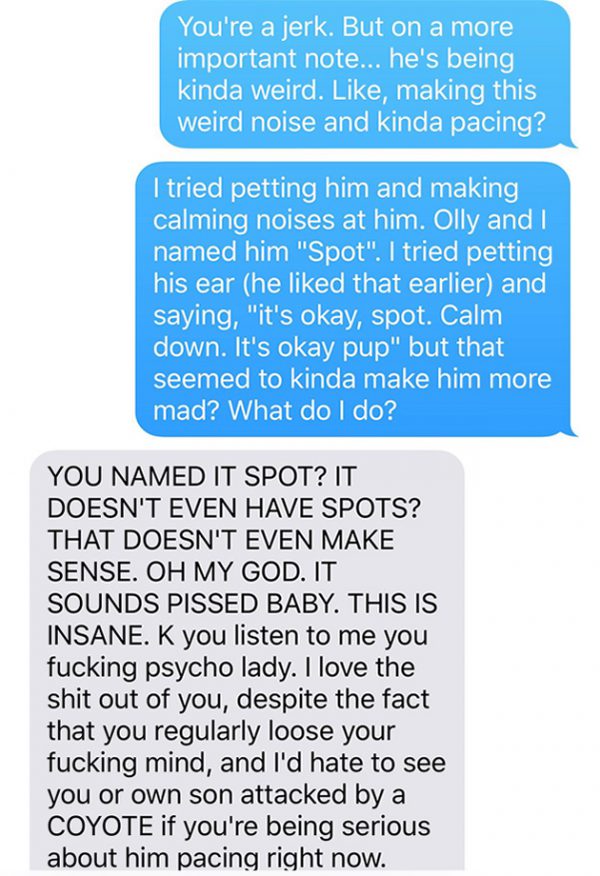 chien-coyote-wtf-10 chien-coyote-wtf-10