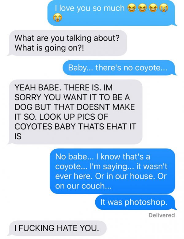 chien-coyote-wtf-13 chien-coyote-wtf-13