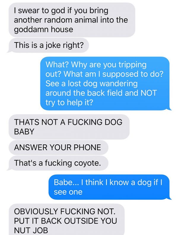 chien-coyote-wtf-2 chien-coyote-wtf-2
