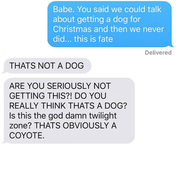 chien-coyote-wtf-4 chien-coyote-wtf-4