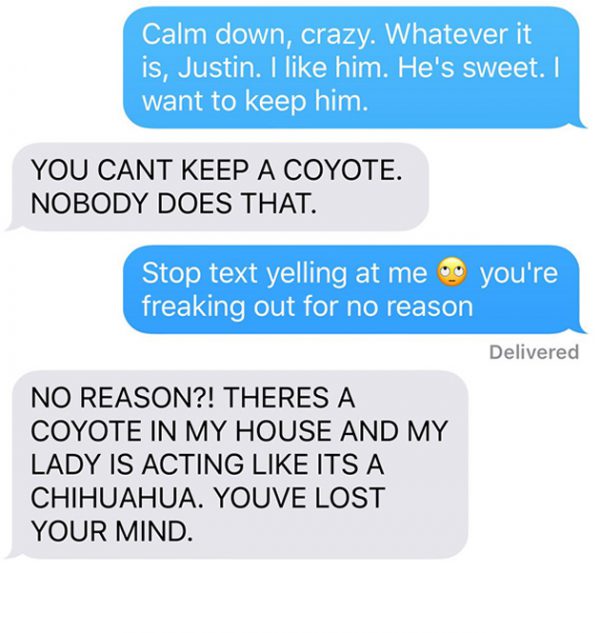 chien-coyote-wtf-5 chien-coyote-wtf-5